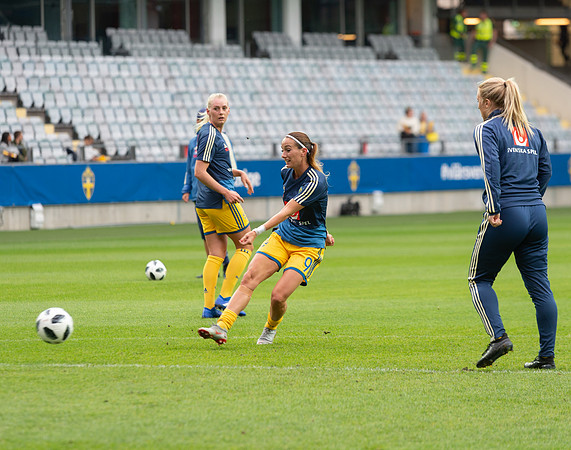 Landskamp mellan Sverige och Ukraina