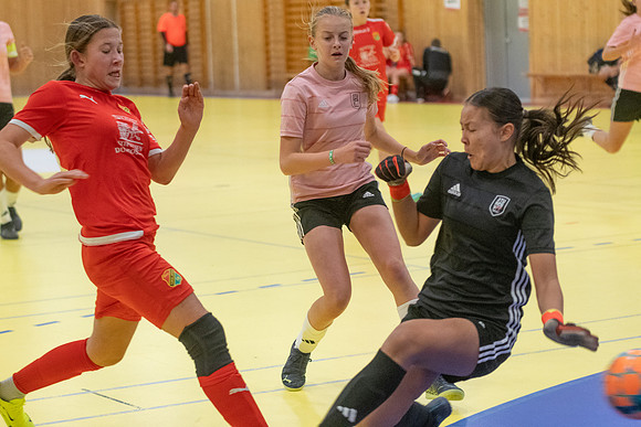 Torslanda Futsal Cup 2024